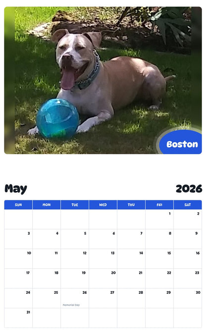 2026 - 2027 Boston - Pawidols Pet Calendar