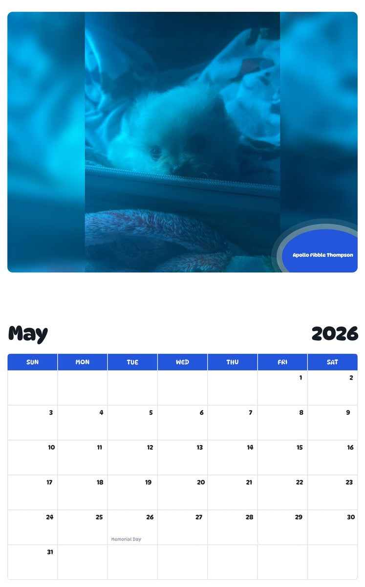 2026 - 2027 Apollo Pibble Thompson - Pawidols Pet Calendar