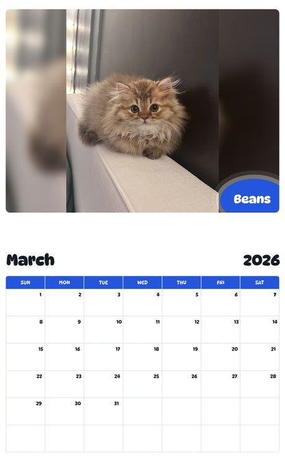 November 2025 - October 2026 Beans - Pawidols Pet Calendar