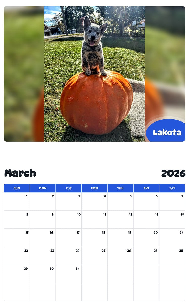 November 2025 - October 2026 Lakota - Pawidols Pet Calendar