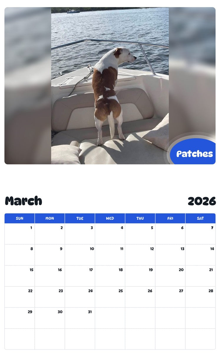 November 2025 - October 2026 Patches - Pawidols Pet Calendar