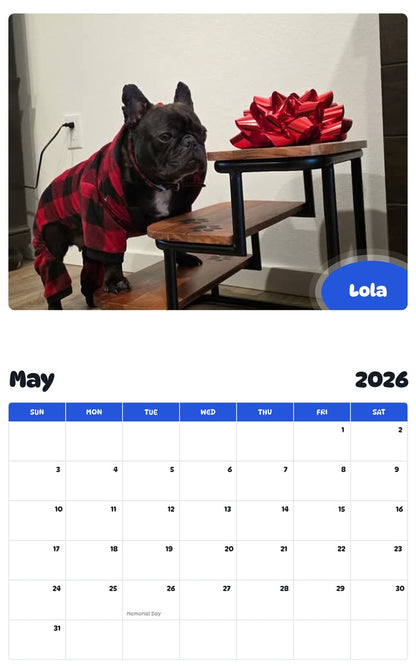 2026 - 2027 Lola - Pawidols Pet Calendar