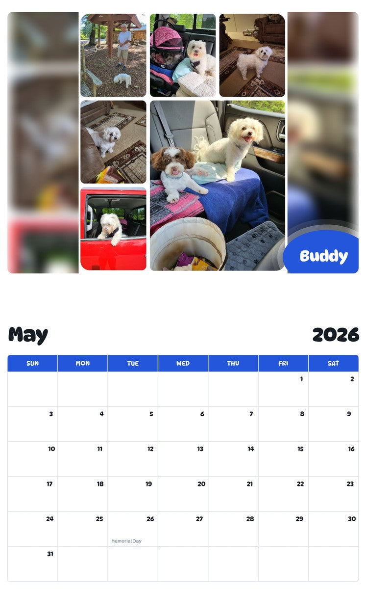 2026 - 2027 Buddy - Pawidols Pet Calendar