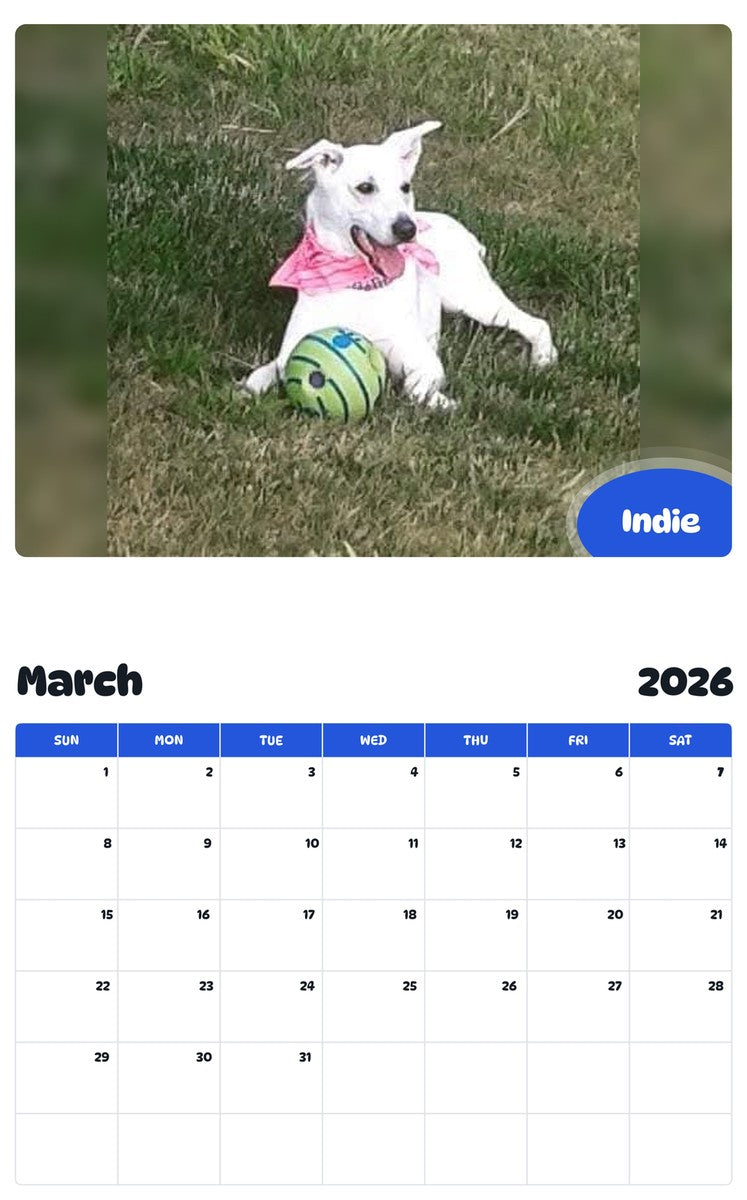 November 2025 - October 2026 Indie - Pawidols Pet Calendar