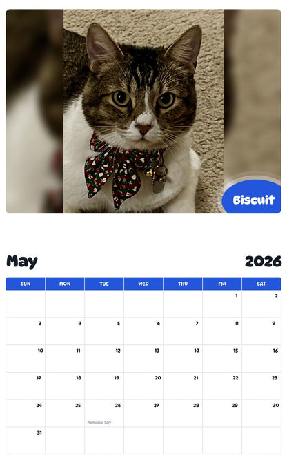 2026 - 2027 Biscuit - Pawidols Pet Calendar