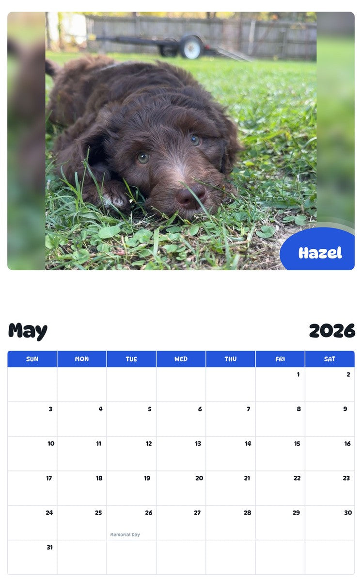 2026 - 2027 Hazel - Pawidols Pet Calendar