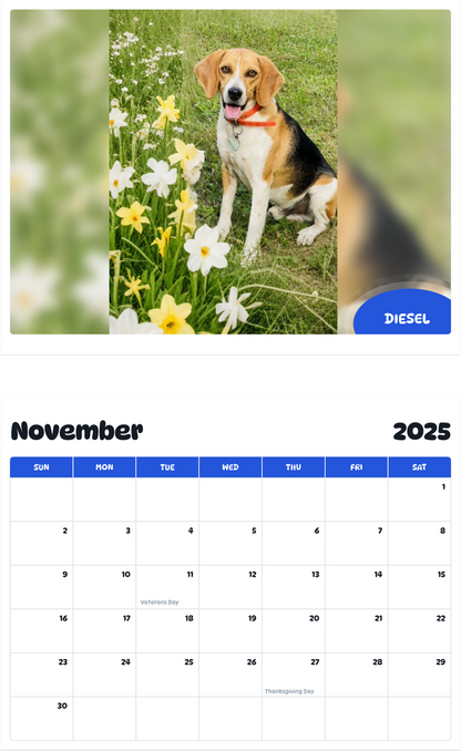 July 2025 - June 2026 Diesel - Pawidols Pet Calendar