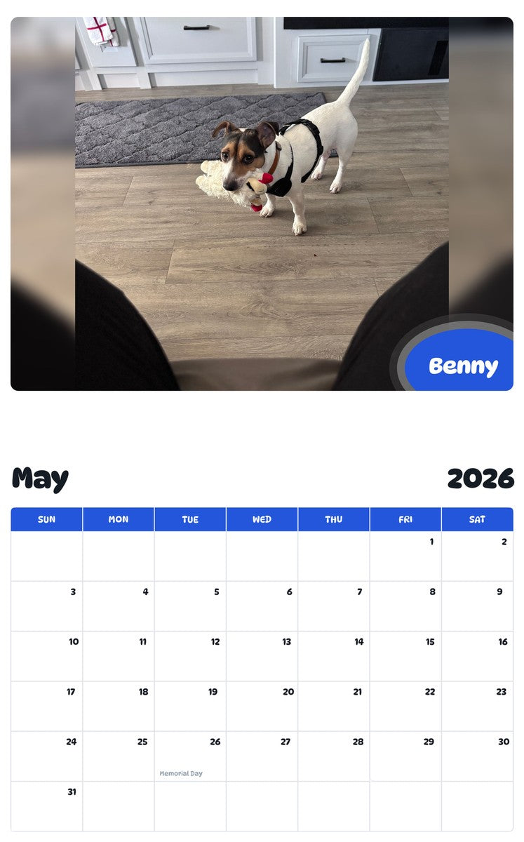2026 - 2027 Benny - Pawidols Pet Calendar