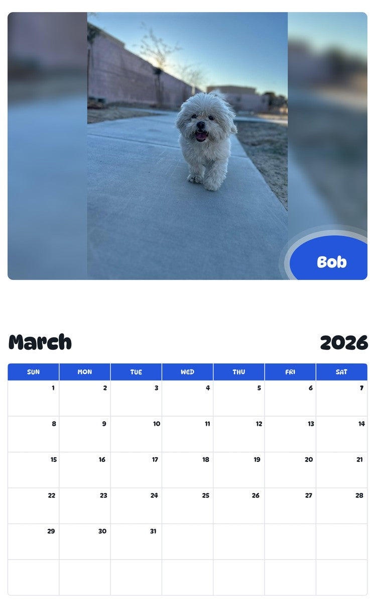 November 2025 - October 2026 Bob - Pawidols Pet Calendar