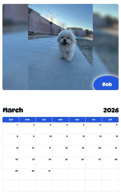 November 2025 - October 2026 Bob - Pawidols Pet Calendar