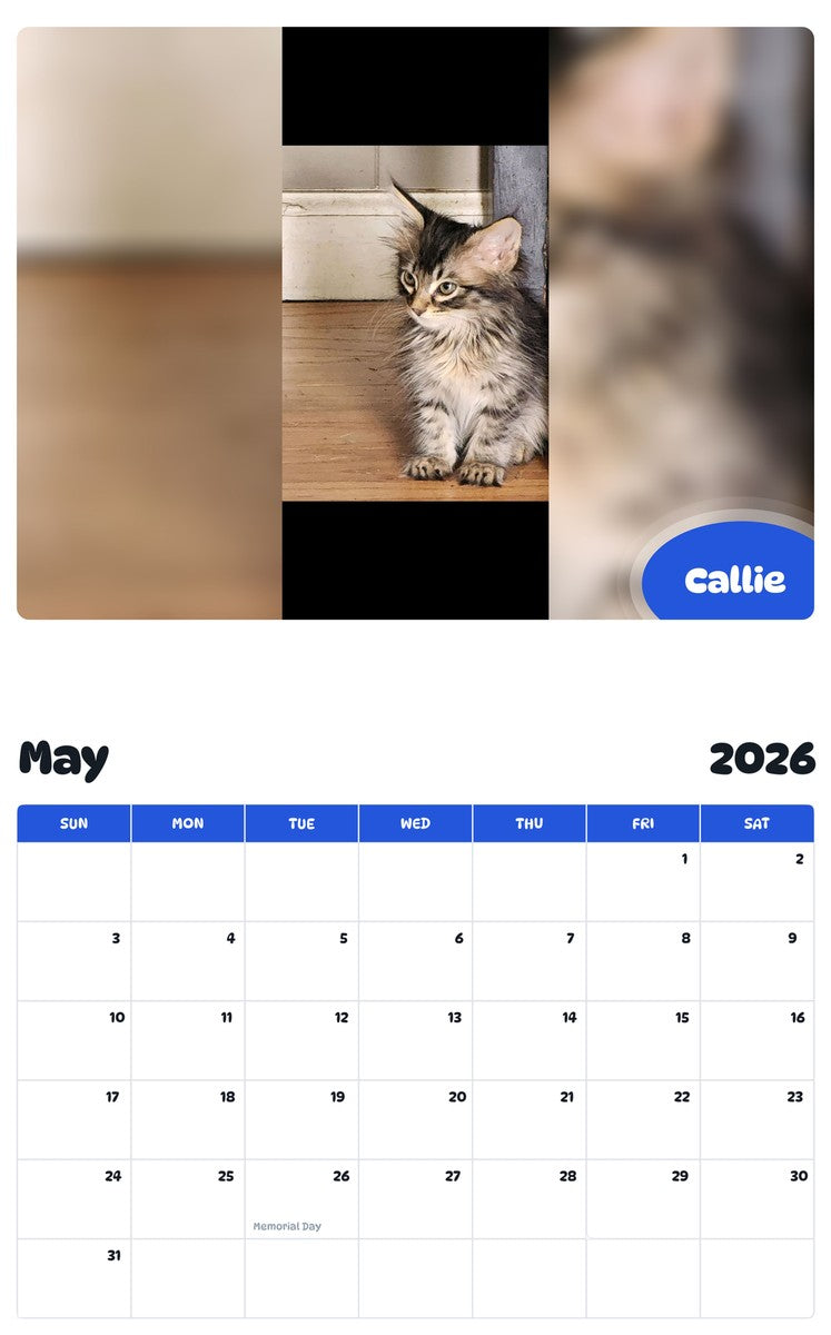 2026 - 2027 Callie - Pawidols Pet Calendar