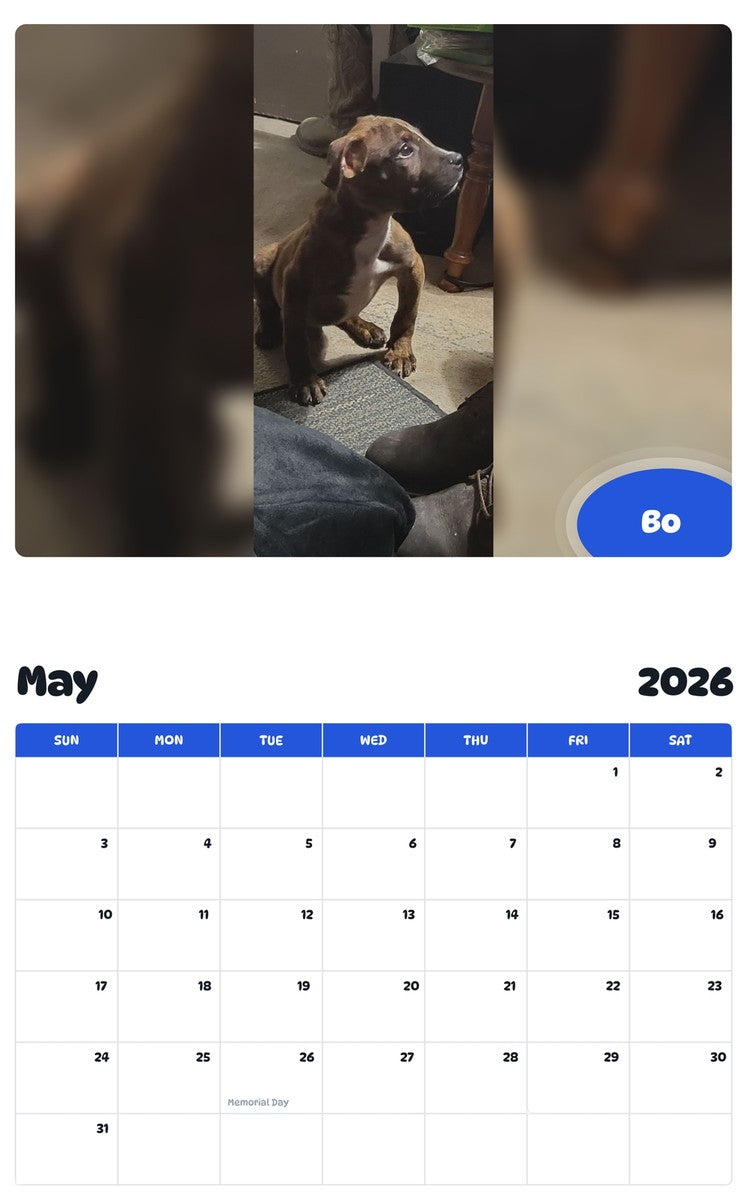 2026 - 2027 Bo - Pawidols Pet Calendar
