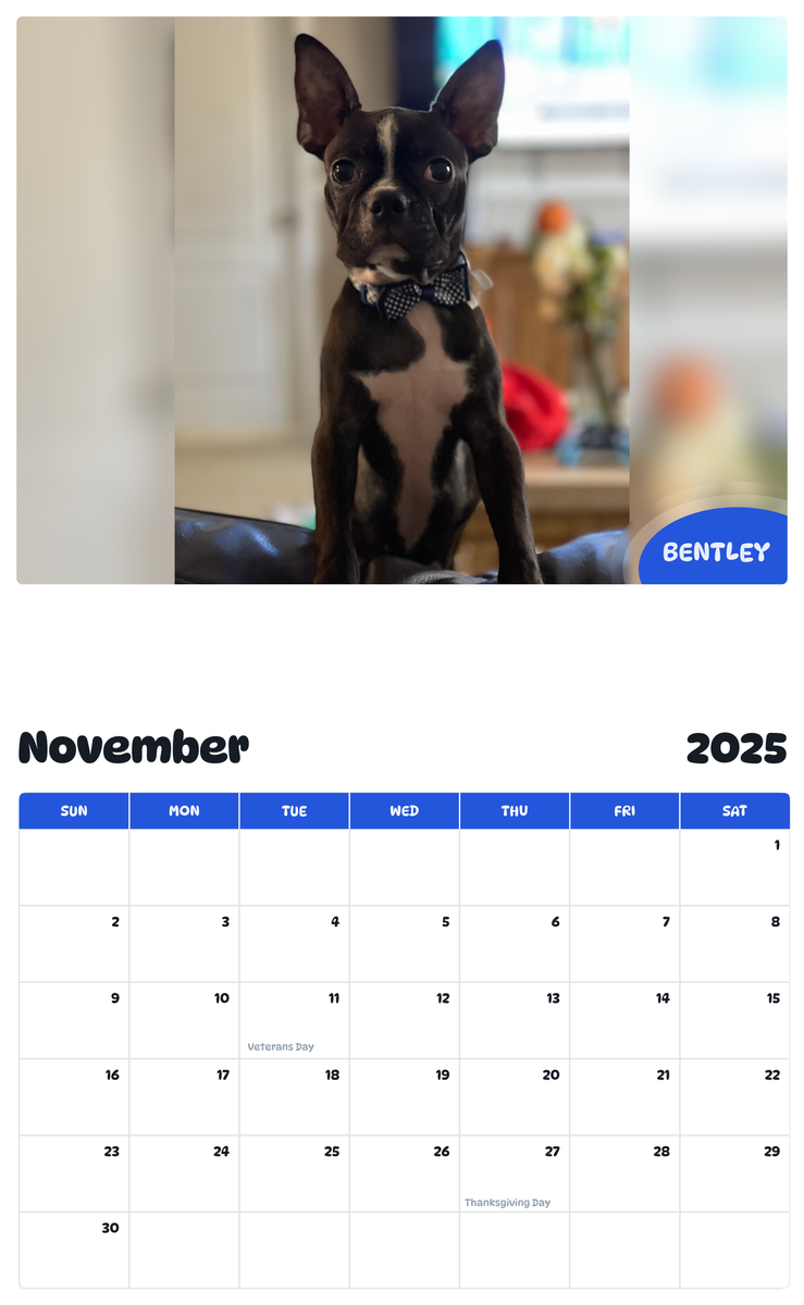 July 2025 - June 2026 Bentley - Pawidols Pet Calendar
