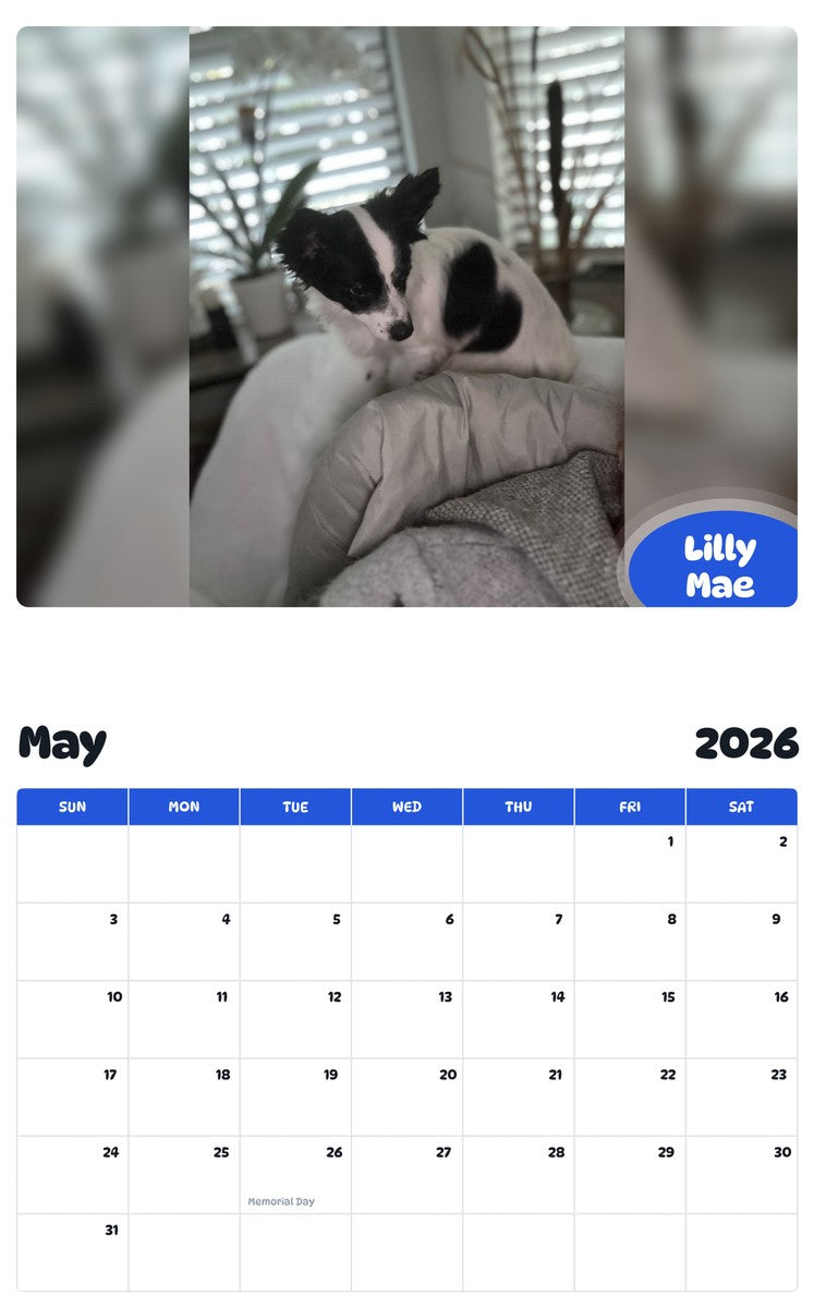 2026 - 2027 Lilly Mae - Pawidols Pet Calendar
