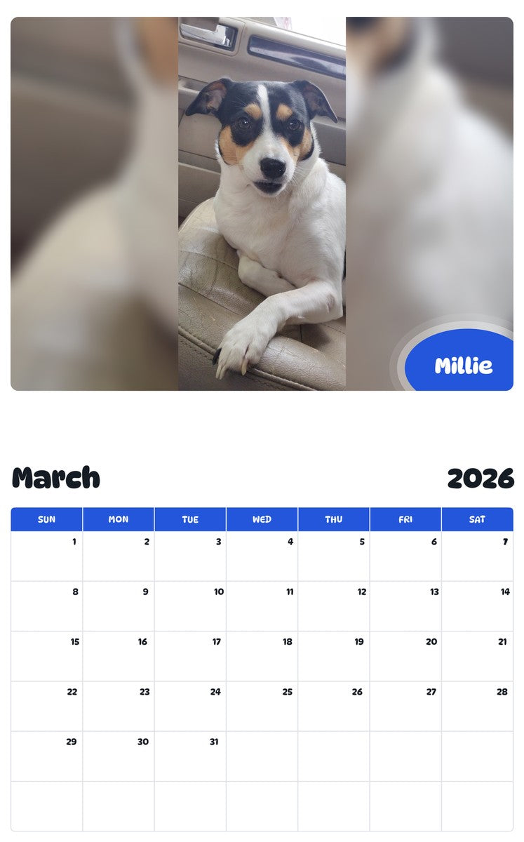 November 2025 - October 2026 Millie - Pawidols Pet Calendar