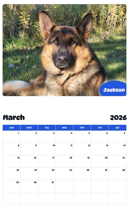 November 2025 - October 2026 Jackson - Pawidols Pet Calendar