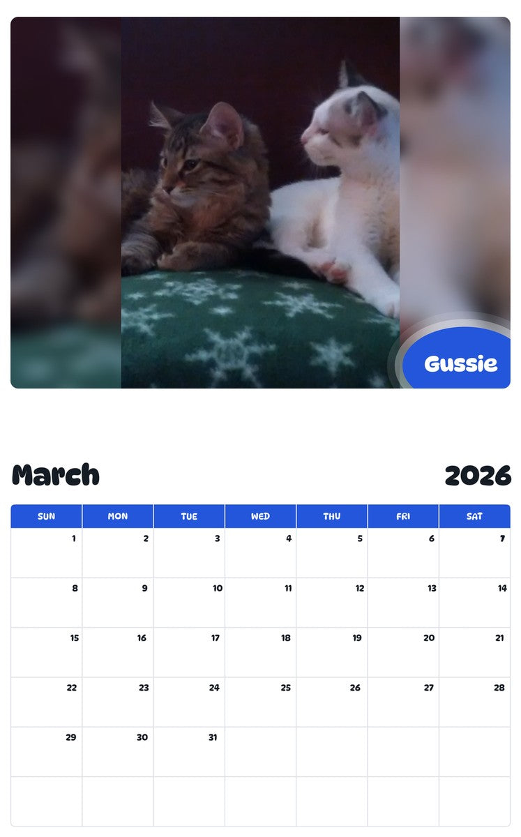 November 2025 - October 2026 Gussie - Pawidols Pet Calendar