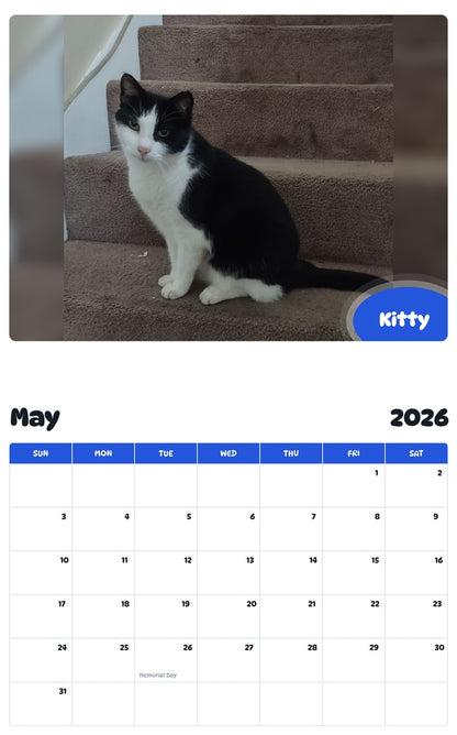 2026 - 2027 Kitty - Pawidols Pet Calendar