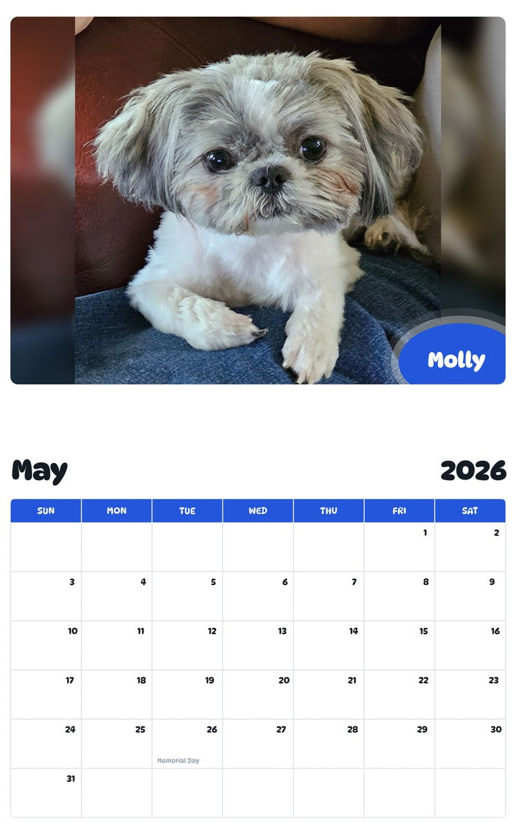 2026 - 2027 Molly - Pawidols Pet Calendar
