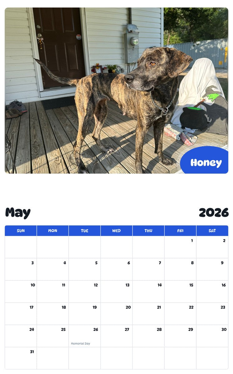 2026 - 2027 Honey - Pawidols Pet Calendar