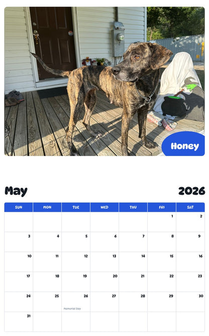2026 - 2027 Honey - Pawidols Pet Calendar