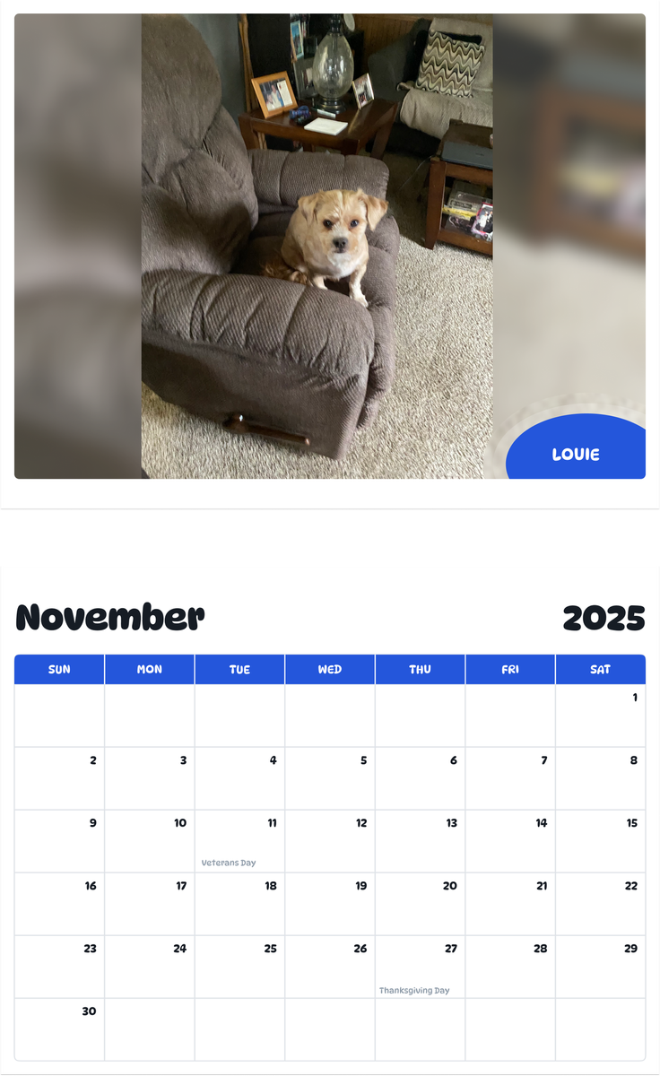 July 2025 - June 2026 Louie - Pawidols Pet Calendar
