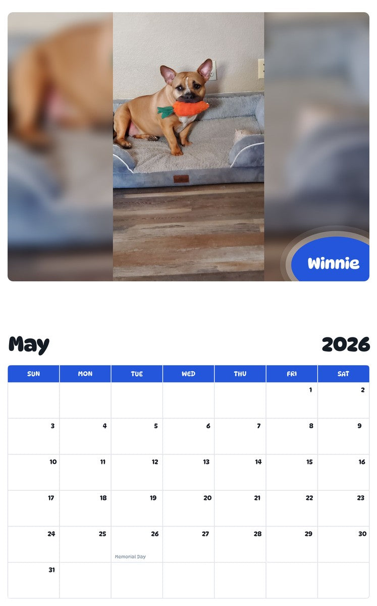2026 - 2027 Winnie - Pawidols Pet Calendar
