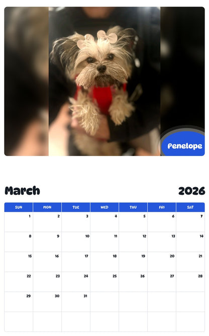 November 2025 - October 2026 Penelope - Pawidols Pet Calendar