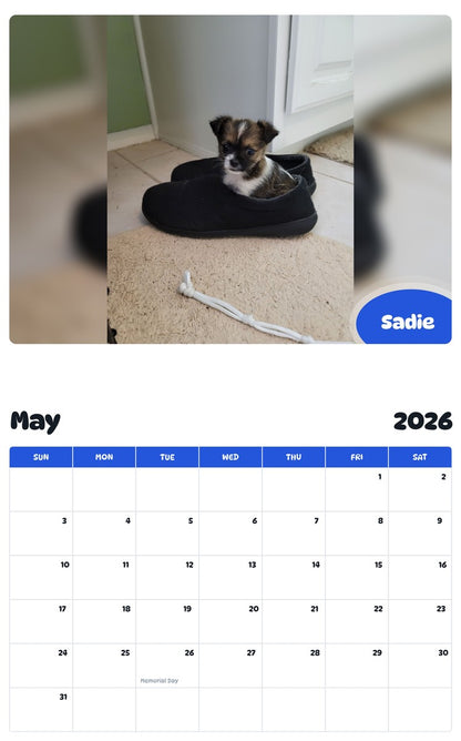 2026 - 2027 Sadie - Pawidols Pet Calendar