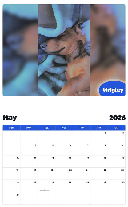 2026 - 2027 Wrigley - Pawidols Pet Calendar