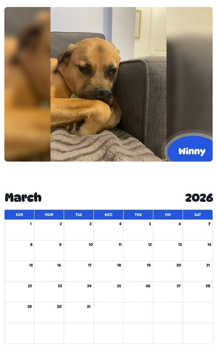 November 2025 - October 2026 Winny - Pawidols Pet Calendar