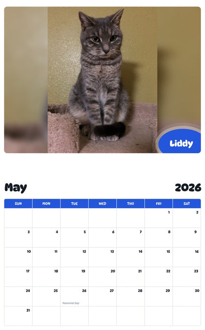 2026 - 2027 Liddy - Pawidols Pet Calendar