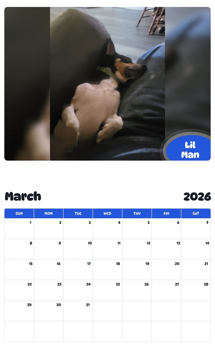 November 2025 - October 2026 Lil Man - Pawidols Pet Calendar