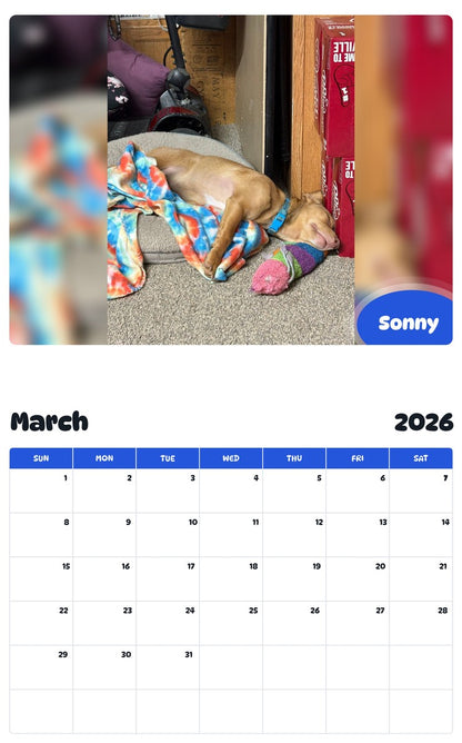 November 2025 - October 2026 Sonny - Pawidols Pet Calendar
