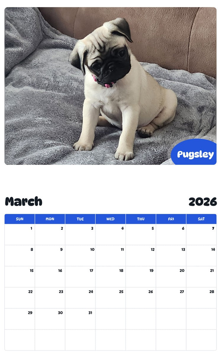 November 2025 - October 2026 Pugsley - Pawidols Pet Calendar