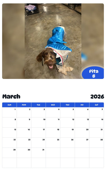 November 2025 - October 2026 Pita B - Pawidols Pet Calendar