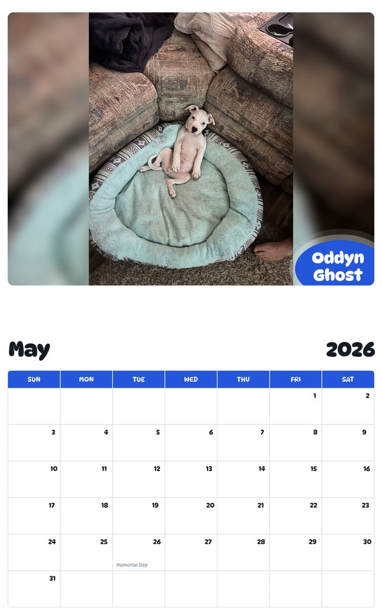2026 - 2027 Oddyn Ghost - Pawidols Pet Calendar