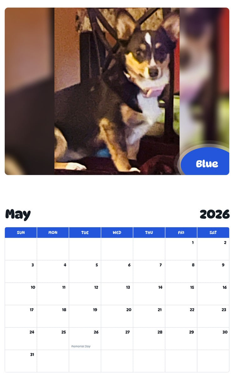 2026 - 2027 Blue - Pawidols Pet Calendar