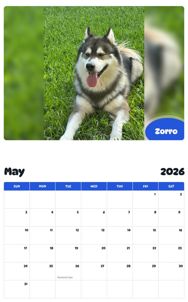 2026 - 2027 Zorro - Pawidols Pet Calendar