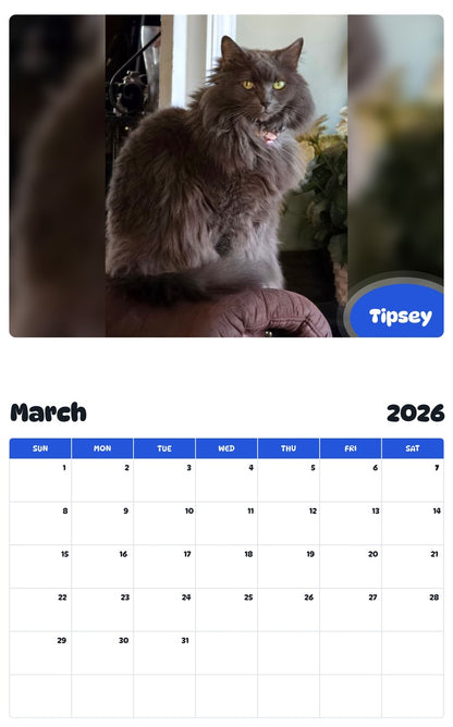 November 2025 - October 2026 Tipsey - Pawidols Pet Calendar