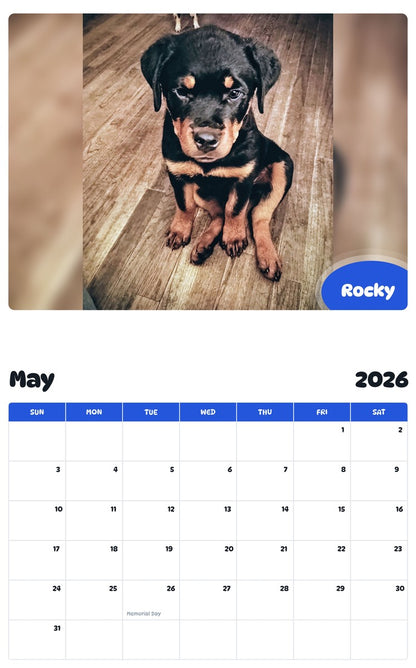 2026 - 2027 Rocky - Pawidols Pet Calendar