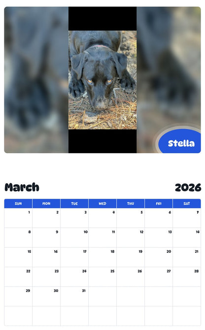 November 2025 - October 2026 Stella - Pawidols Pet Calendar