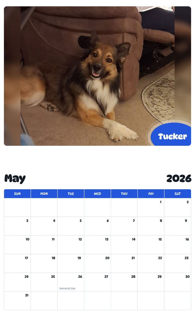 2026 - 2027 Tucker - Pawidols Pet Calendar