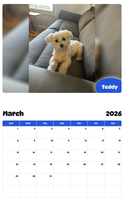 November 2025 - October 2026 Teddy - Pawidols Pet Calendar