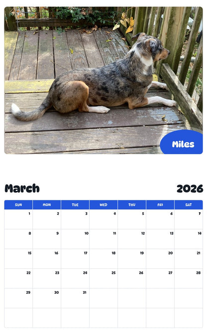 November 2025 - October 2026 Miles - Pawidols Pet Calendar