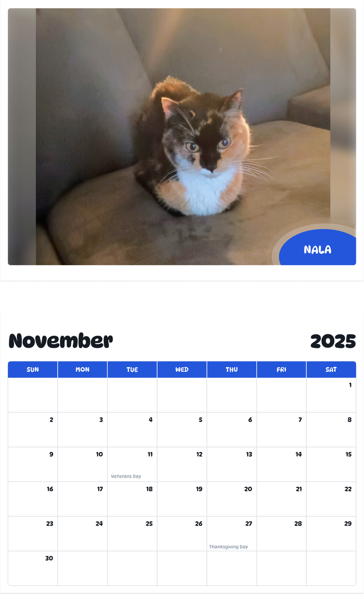 July 2025 - June 2026 Nala - Pawidols Pet Calendar