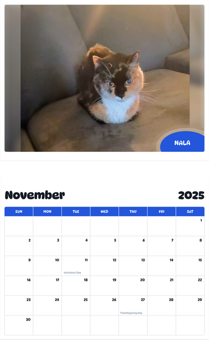 July 2025 - June 2026 Nala - Pawidols Pet Calendar
