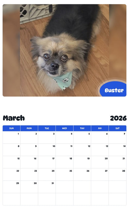 November 2025 - October 2026 Buster - Pawidols Pet Calendar