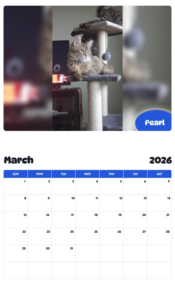 November 2025 - October 2026 Pearl - Pawidols Pet Calendar