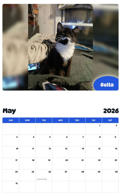 2026 - 2027 Bella - Pawidols Pet Calendar